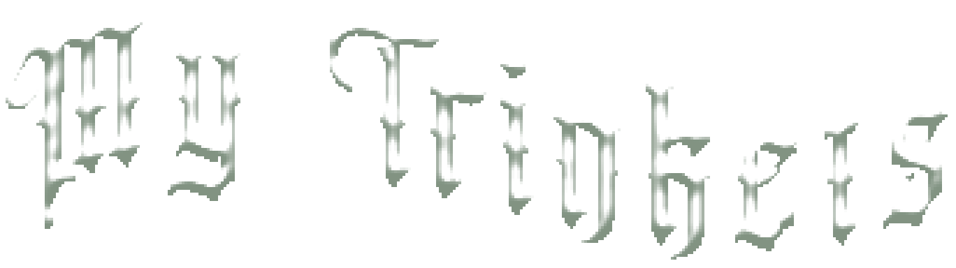 Text saying My Trinkets